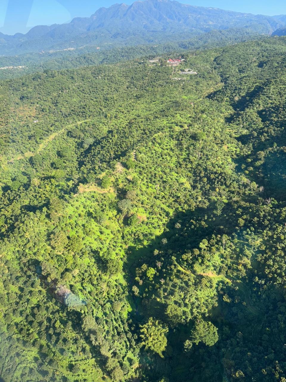 Aerial view of forested coffee-growing hills and mountains in Guatemala