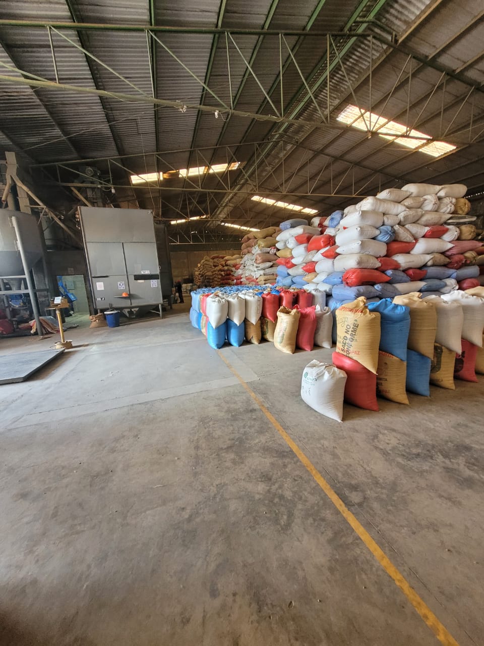 Green coffee sacks stored at our dry mill